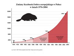 Źródło: wg  Czech A, 2006. Bóbr europejski (Castor fiber).Krajowy plan ochrony gatunku.